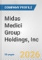 Midas Medici Group Holdings, Inc. Fundamental Company Report Including Financial, SWOT, Competitors and Industry Analysis - Product Thumbnail Image
