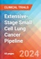 Extensive-Stage Small Cell Lung Cancer (ESCLC) - Pipeline Insight, 2024 - Product Thumbnail Image
