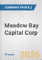 Meadow Bay Capital Corp. Fundamental Company Report Including Financial, SWOT, Competitors and Industry Analysis - Product Thumbnail Image