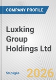 Luxking Group Holdings Ltd Fundamental Company Report Including Financial, SWOT, Competitors and Industry Analysis- Product Image