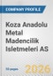 Koza Anadolu Metal Madencilik Isletmeleri AS Fundamental Company Report Including Financial, SWOT, Competitors and Industry Analysis - Product Thumbnail Image