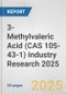 3-Methylvaleric Acid (CAS 105-43-1) Industry Research 2025: Global and Regional Market Trends 2019-2024 and Forecast to 2029 - Product Image