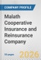 Malath Cooperative Insurance and Reinsurance Company Fundamental Company Report Including Financial, SWOT, Competitors and Industry Analysis - Product Thumbnail Image