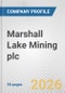Marshall Lake Mining plc Fundamental Company Report Including Financial, SWOT, Competitors and Industry Analysis - Product Thumbnail Image