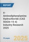 4-Aminodiphenylamine Hydrochloride (CAS 56426-15-4) Industry Research 2025: Global and Regional Market Trends 2019-2024 and Forecast to 2029 - Product Image