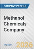 Methanol Chemicals Company Fundamental Company Report Including Financial, SWOT, Competitors and Industry Analysis- Product Image