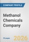 Methanol Chemicals Company Fundamental Company Report Including Financial, SWOT, Competitors and Industry Analysis - Product Thumbnail Image