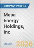 Mesa Energy Holdings, Inc. Fundamental Company Report Including Financial, SWOT, Competitors and Industry Analysis- Product Image