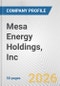 Mesa Energy Holdings, Inc. Fundamental Company Report Including Financial, SWOT, Competitors and Industry Analysis - Product Thumbnail Image