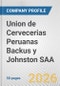 Union de Cervecerias Peruanas Backus y Johnston SAA Fundamental Company Report Including Financial, SWOT, Competitors and Industry Analysis - Product Thumbnail Image