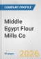 Middle Egypt Flour Mills Co. Fundamental Company Report Including Financial, SWOT, Competitors and Industry Analysis - Product Thumbnail Image