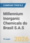 Millennium Inorganic Chemicals do Brasil S.A.S. Fundamental Company Report Including Financial, SWOT, Competitors and Industry Analysis - Product Thumbnail Image