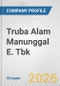 Truba Alam Manunggal E. Tbk Fundamental Company Report Including Financial, SWOT, Competitors and Industry Analysis - Product Thumbnail Image