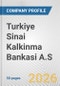 Turkiye Sinai Kalkinma Bankasi A.S. Fundamental Company Report Including Financial, SWOT, Competitors and Industry Analysis - Product Thumbnail Image