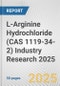 L-Arginine Hydrochloride (CAS 1119-34-2) Industry Research 2025: Global and Regional Market Trends 2019-2024 and Forecast to 2029 - Product Image