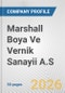 Marshall Boya Ve Vernik Sanayii A.S Fundamental Company Report Including Financial, SWOT, Competitors and Industry Analysis - Product Thumbnail Image