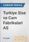 Turkiye Sise ve Cam Fabrikalari AS Fundamental Company Report Including Financial, SWOT, Competitors and Industry Analysis - Product Thumbnail Image
