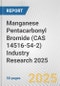 Manganese Pentacarbonyl Bromide (CAS 14516-54-2) Industry Research 2025: Global and Regional Market Trends 2019-2024 and Forecast to 2029 - Product Image