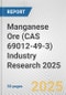 Manganese Ore (CAS 69012-49-3) Industry Research 2025: Global and Regional Market Trends 2019-2024 and Forecast to 2029 - Product Image