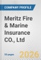 Meritz Fire & Marine Insurance CO., Ltd. Fundamental Company Report Including Financial, SWOT, Competitors and Industry Analysis - Product Thumbnail Image