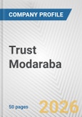 Trust Modaraba Fundamental Company Report Including Financial, SWOT, Competitors and Industry Analysis- Product Image