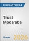 Trust Modaraba Fundamental Company Report Including Financial, SWOT, Competitors and Industry Analysis - Product Thumbnail Image