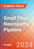 Small Fiber Neuropathy - Pipeline Insight, 2024- Product Image
