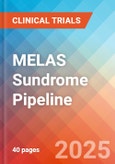 MELAS Sundrome - Pipeline Insight, 2024- Product Image