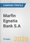 Marfin Egnatia Bank S.A. Fundamental Company Report Including Financial, SWOT, Competitors and Industry Analysis - Product Thumbnail Image