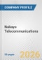 Nakayo Telecommunications Fundamental Company Report Including Financial, SWOT, Competitors and Industry Analysis - Product Thumbnail Image
