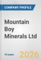 Mountain Boy Minerals Ltd. Fundamental Company Report Including Financial, SWOT, Competitors and Industry Analysis - Product Thumbnail Image