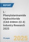 L-Phenylalaninamide Hydrochloride (CAS 65864-22-4) Industry Research 2025: Global and Regional Market Trends 2019-2024 and Forecast to 2029 - Product Thumbnail Image