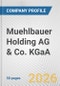 Muehlbauer Holding AG & Co. KGaA Fundamental Company Report Including Financial, SWOT, Competitors and Industry Analysis - Product Thumbnail Image