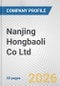 Nanjing Hongbaoli Co Ltd Fundamental Company Report Including Financial, SWOT, Competitors and Industry Analysis - Product Thumbnail Image