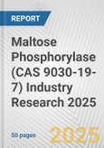 Maltose Phosphorylase (CAS 9030-19-7) Industry Research 2025: Global and Regional Market Trends 2019-2024 and Forecast to 2029- Product Image