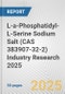 L-a-Phosphatidyl-L-Serine Sodium Salt (CAS 383907-32-2) Industry Research 2025: Global and Regional Market Trends 2019-2024 and Forecast to 2029 - Product Thumbnail Image