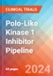 Polo-Like Kinase 1 (PLK1) Inhibitor - Pipeline Insight, 2021 - Product Image
