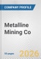 Metalline Mining Co. Fundamental Company Report Including Financial, SWOT, Competitors and Industry Analysis - Product Thumbnail Image