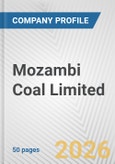 Mozambi Coal Limited Fundamental Company Report Including Financial, SWOT, Competitors and Industry Analysis- Product Image