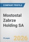Mostostal Zabrze Holding SA Fundamental Company Report Including Financial, SWOT, Competitors and Industry Analysis - Product Thumbnail Image