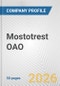 Mostotrest OAO Fundamental Company Report Including Financial, SWOT, Competitors and Industry Analysis - Product Thumbnail Image