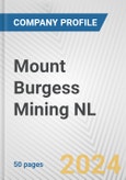 Mount Burgess Mining NL Fundamental Company Report Including Financial, SWOT, Competitors and Industry Analysis- Product Image