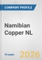 Namibian Copper NL Fundamental Company Report Including Financial, SWOT, Competitors and Industry Analysis - Product Thumbnail Image