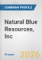 Natural Blue Resources, Inc. Fundamental Company Report Including Financial, SWOT, Competitors and Industry Analysis - Product Thumbnail Image