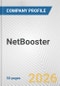 NetBooster Fundamental Company Report Including Financial, SWOT, Competitors and Industry Analysis - Product Thumbnail Image