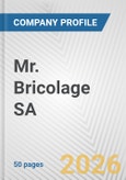 Mr. Bricolage SA Fundamental Company Report Including Financial, SWOT, Competitors and Industry Analysis- Product Image