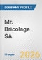 Mr. Bricolage SA Fundamental Company Report Including Financial, SWOT, Competitors and Industry Analysis - Product Thumbnail Image