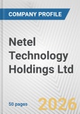 Netel Technology Holdings Ltd. Fundamental Company Report Including Financial, SWOT, Competitors and Industry Analysis- Product Image