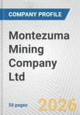 Montezuma Mining Company Ltd. Fundamental Company Report Including Financial, SWOT, Competitors and Industry Analysis- Product Image