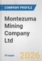 Montezuma Mining Company Ltd. Fundamental Company Report Including Financial, SWOT, Competitors and Industry Analysis - Product Thumbnail Image